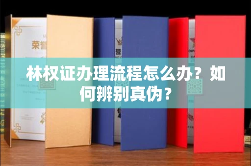 长沙林权证办理流程怎么办?如何辨别真伪?